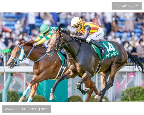 自行车绕圈赛千钧一发的超车堪称经典