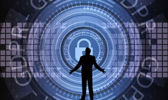 开云体育在线-世界羽联年度颁奖盛典中国选手揽多项荣誉，2020世界羽联